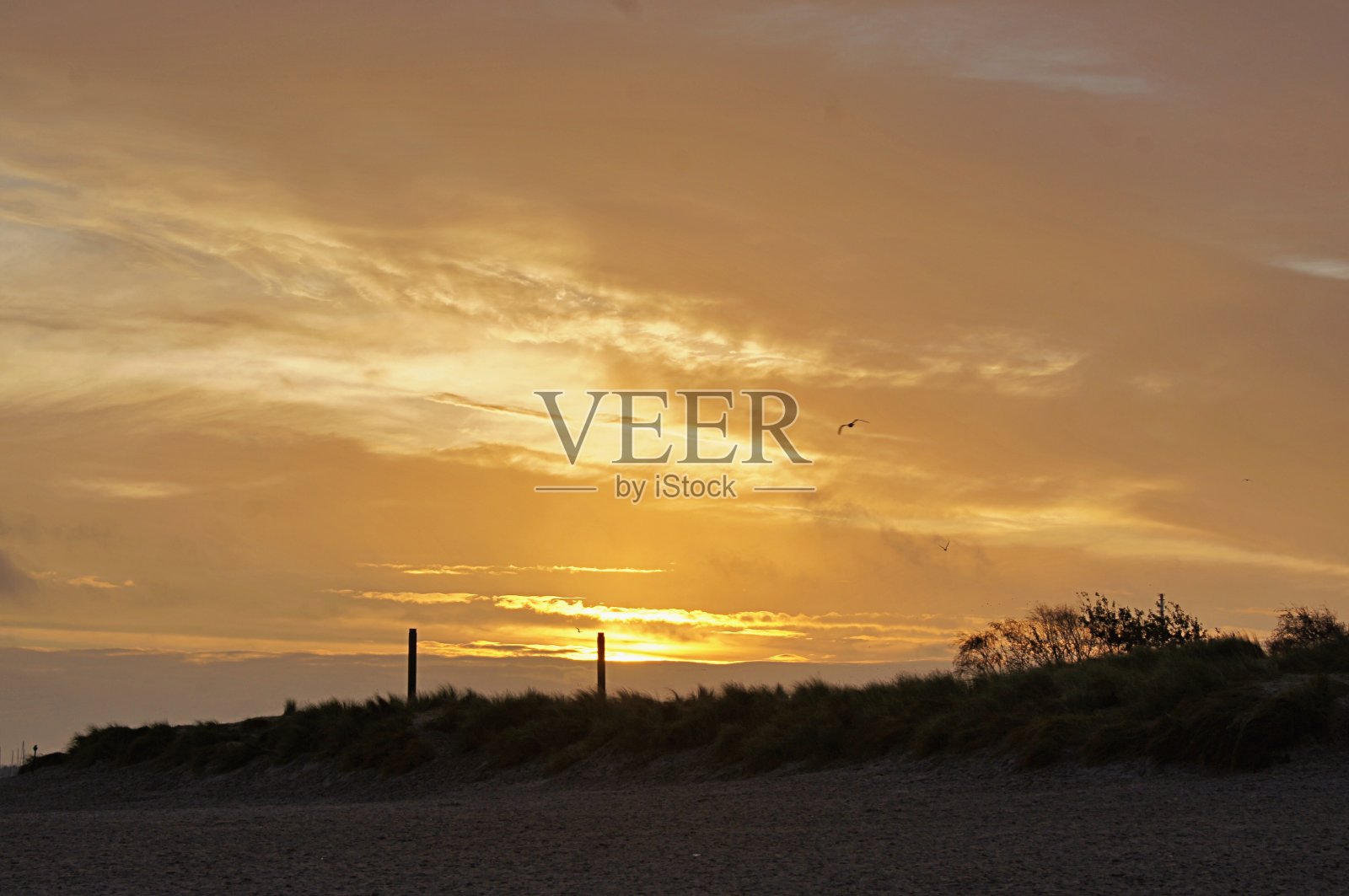 波罗的海海岸的日出照片摄影图片