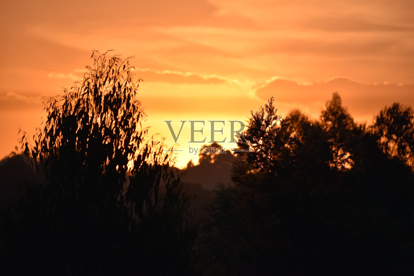 大火的荣耀照片摄影图片