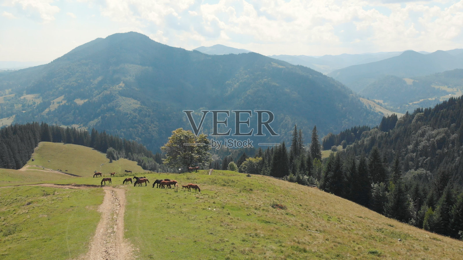 美丽的山地自然景观。照片摄影图片