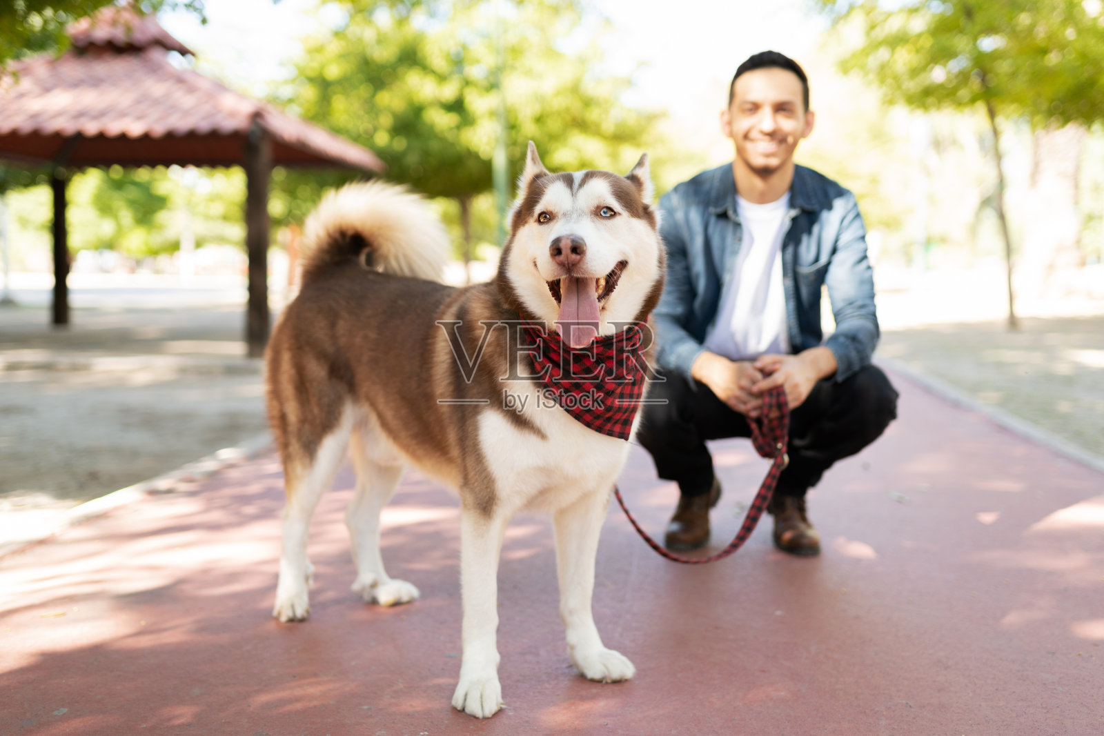 一只棕色的大狗和一个在公园里微笑的成年人照片摄影图片