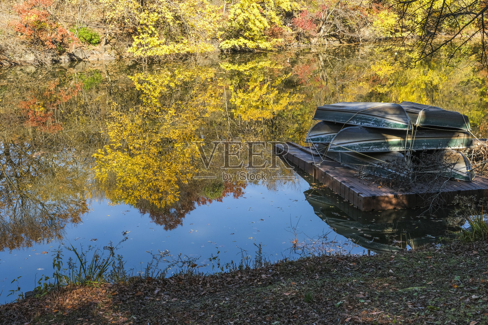落在中央公园照片摄影图片