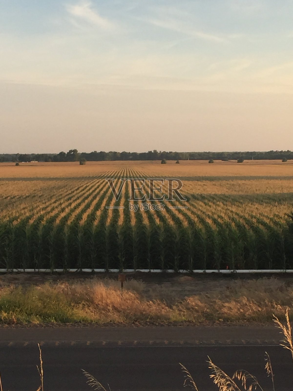 在Kerney照片摄影图片