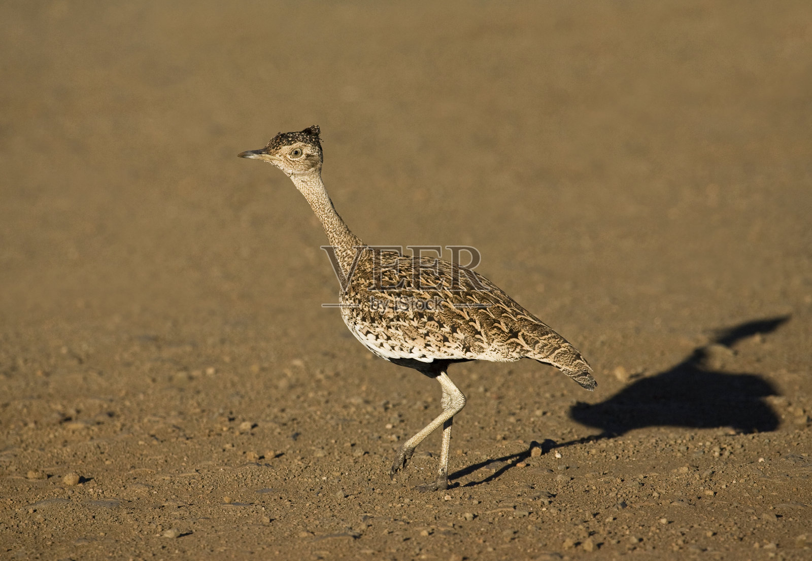 来自南非的鸟瞰图。照片摄影图片