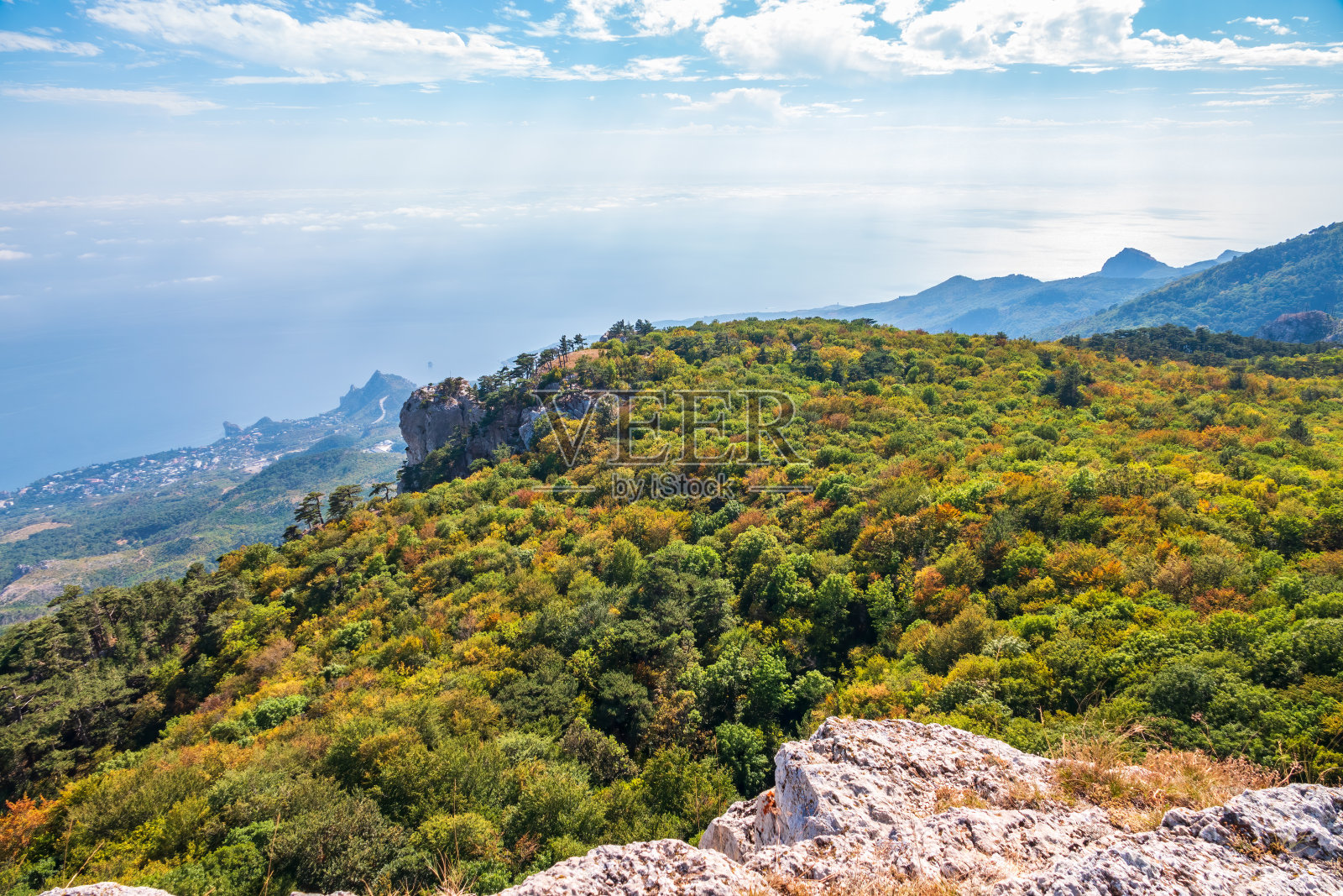 夕阳下，绿油油的海边有许多住宅楼。照片摄影图片