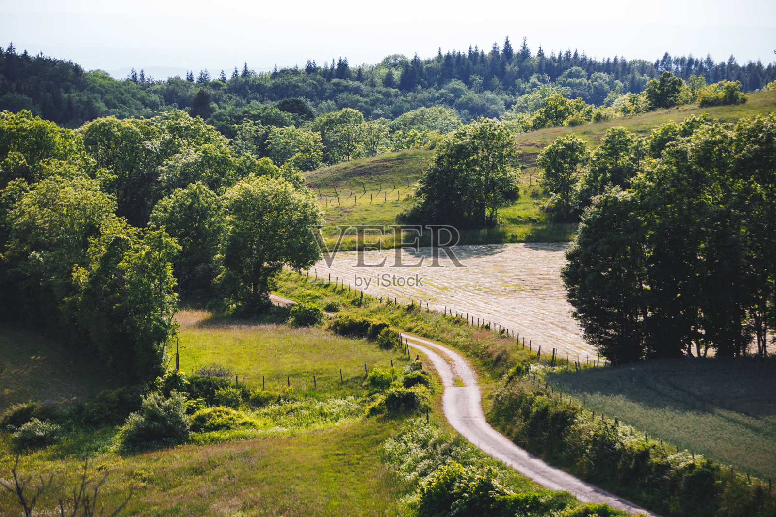 鸟瞰图通过草地和法国在阿尔卑斯山脉的田野在春天照片摄影图片
