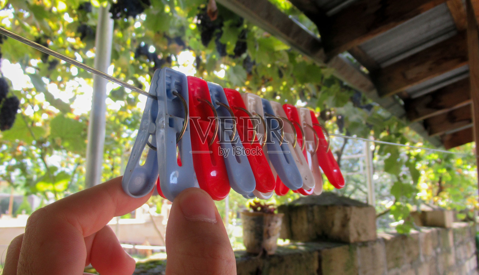 一个男性的手拿着衣服别针在晾衣绳上的特写照片摄影图片