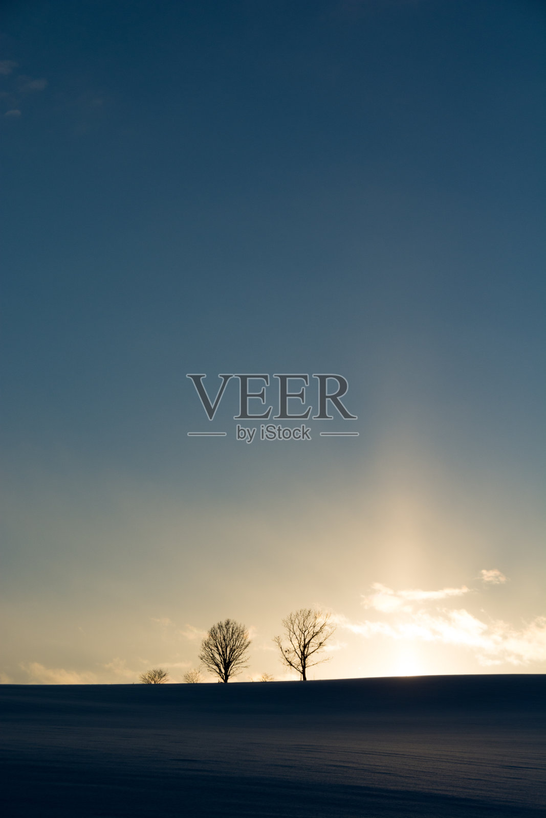 美丽的冬日黄昏天空和山坡上的小树林照片摄影图片