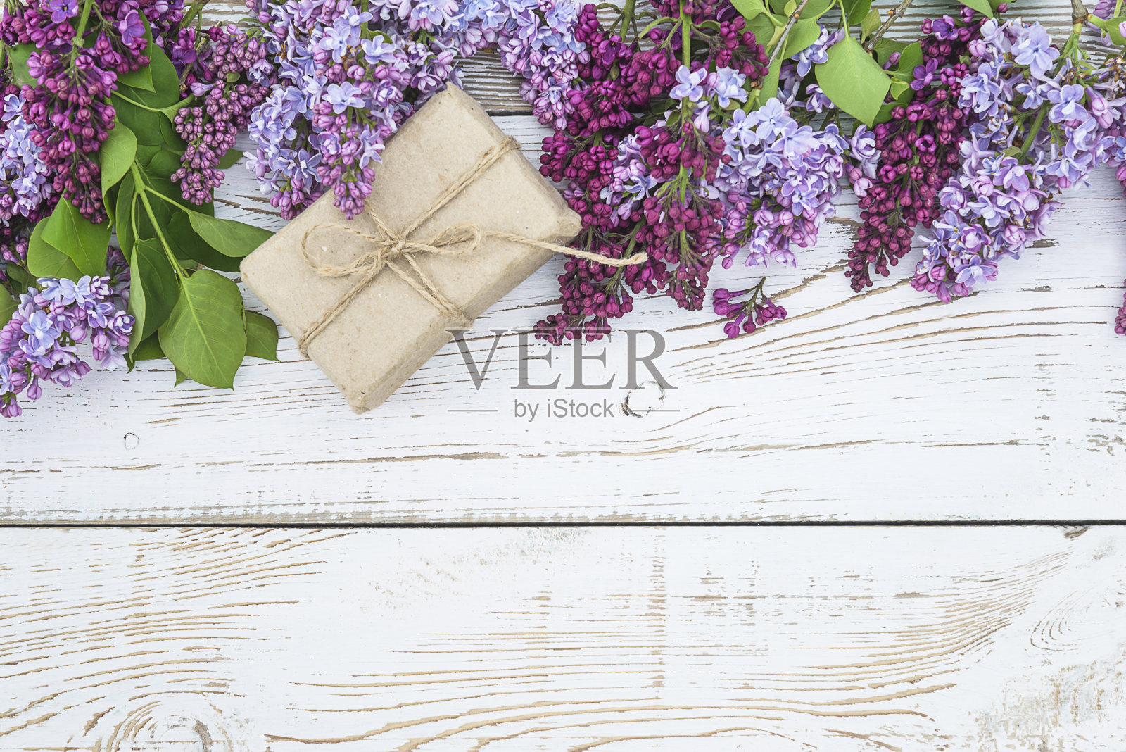 美丽的模板贺卡照片摄影图片