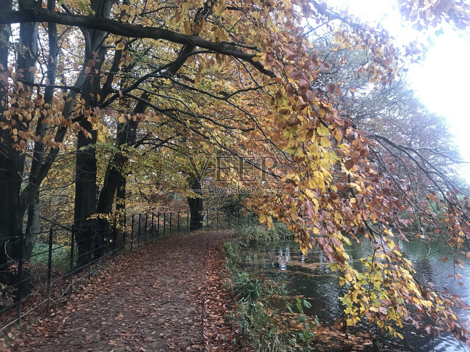 乡间秋天的景色照片摄影图片