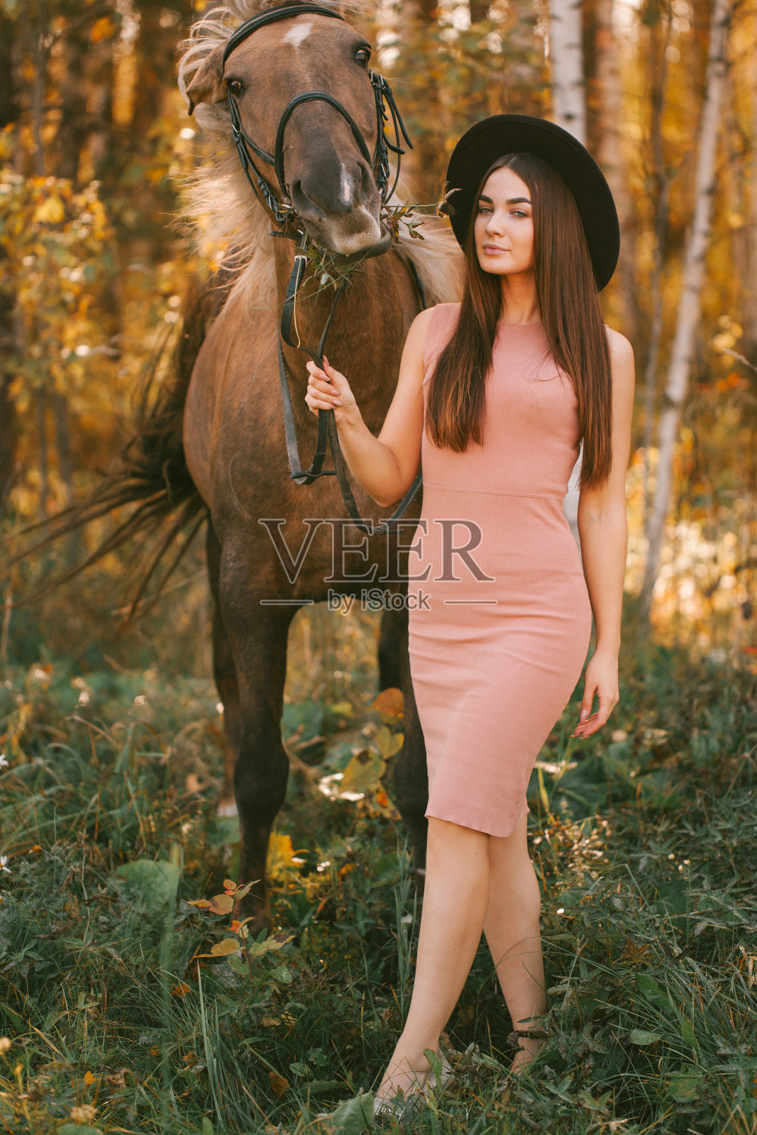 戴着帽子的女孩和一匹马在大自然中照片摄影图片