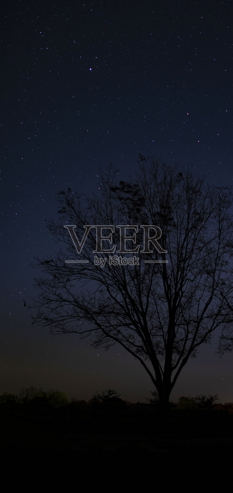 秋天的山核桃树，后面是星星照片摄影图片