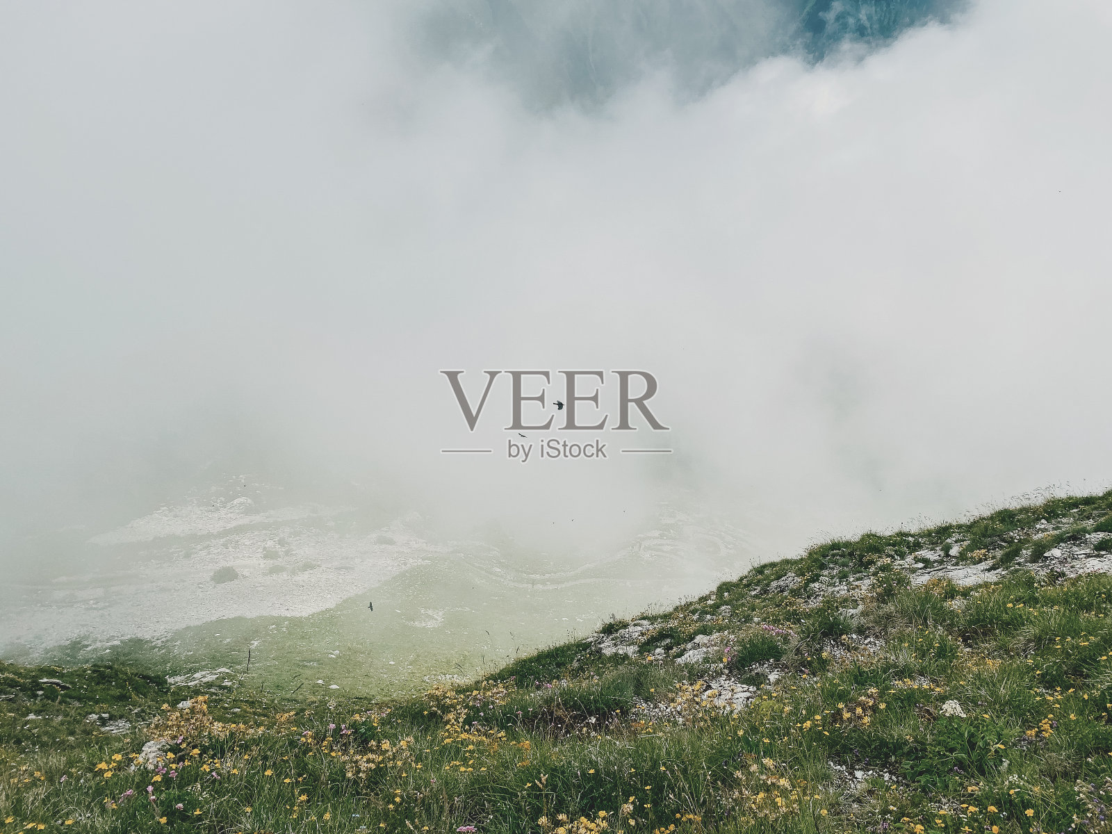 鸟儿在山上的云中飞翔照片摄影图片