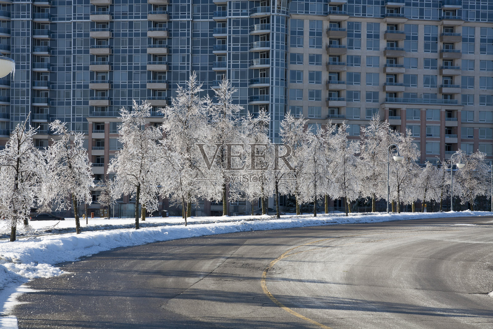 冬天的阳光照亮了被冰覆盖的树木照片摄影图片