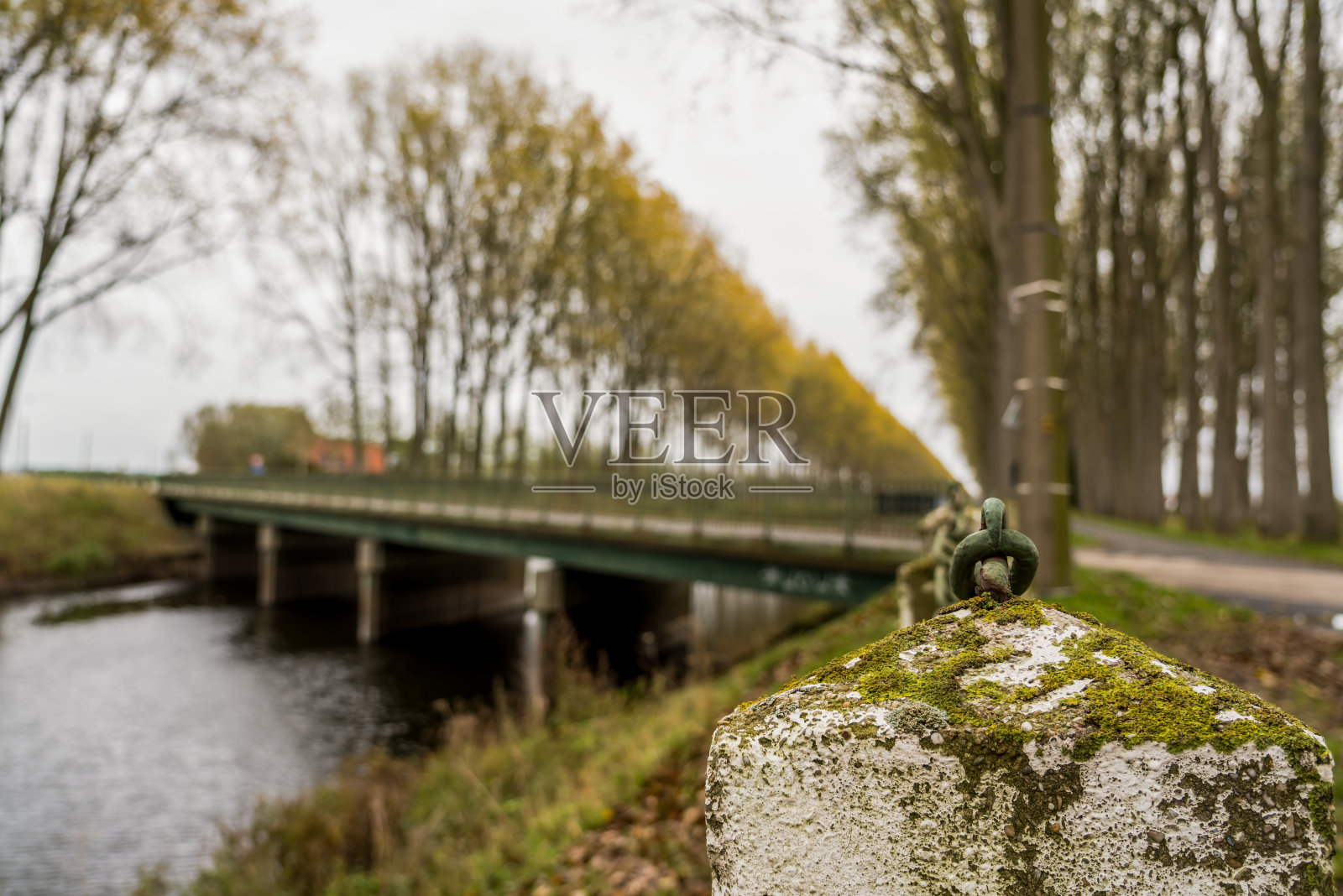 铁链在杆子上照片摄影图片