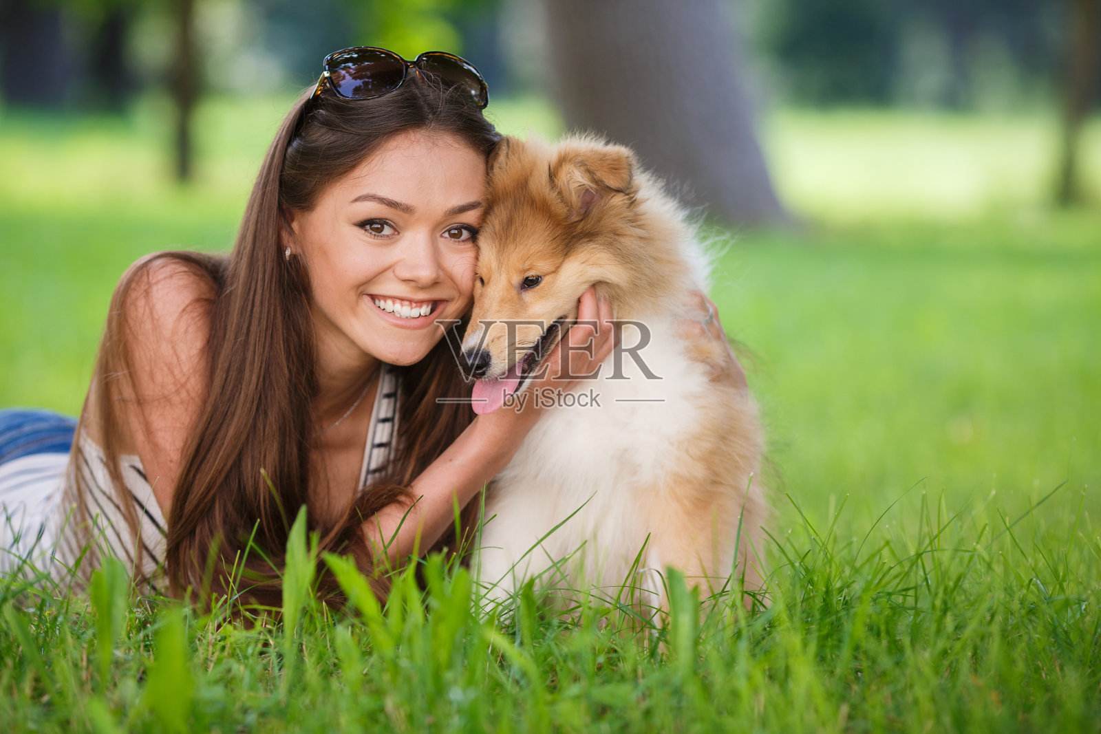 美丽的女人在一个夏天的公园和她的宠物，牧羊犬狗，户外在一个阳光明媚的日子照片摄影图片