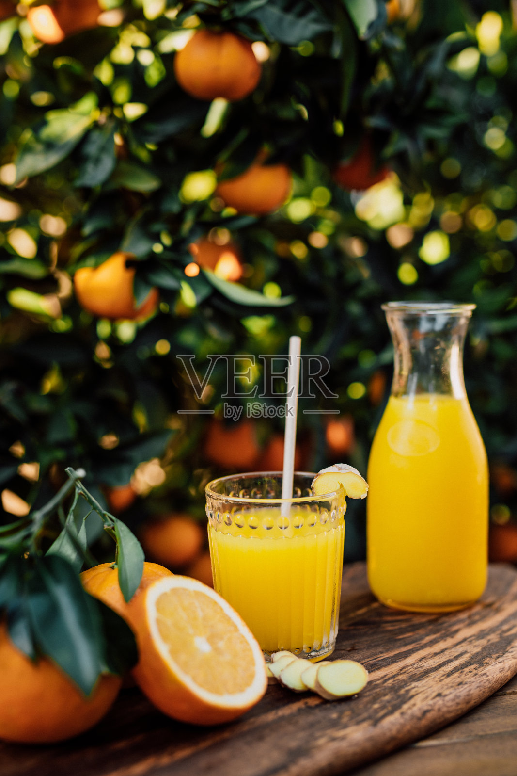 鲜榨的橙汁，未经处理的生物橙从自己的花园下的橙树与生姜根照片摄影图片