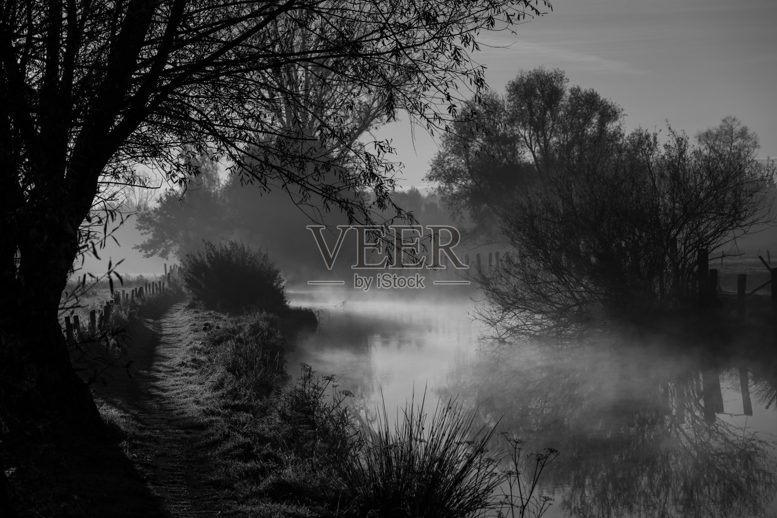 雾漂浮在水面上照片摄影图片