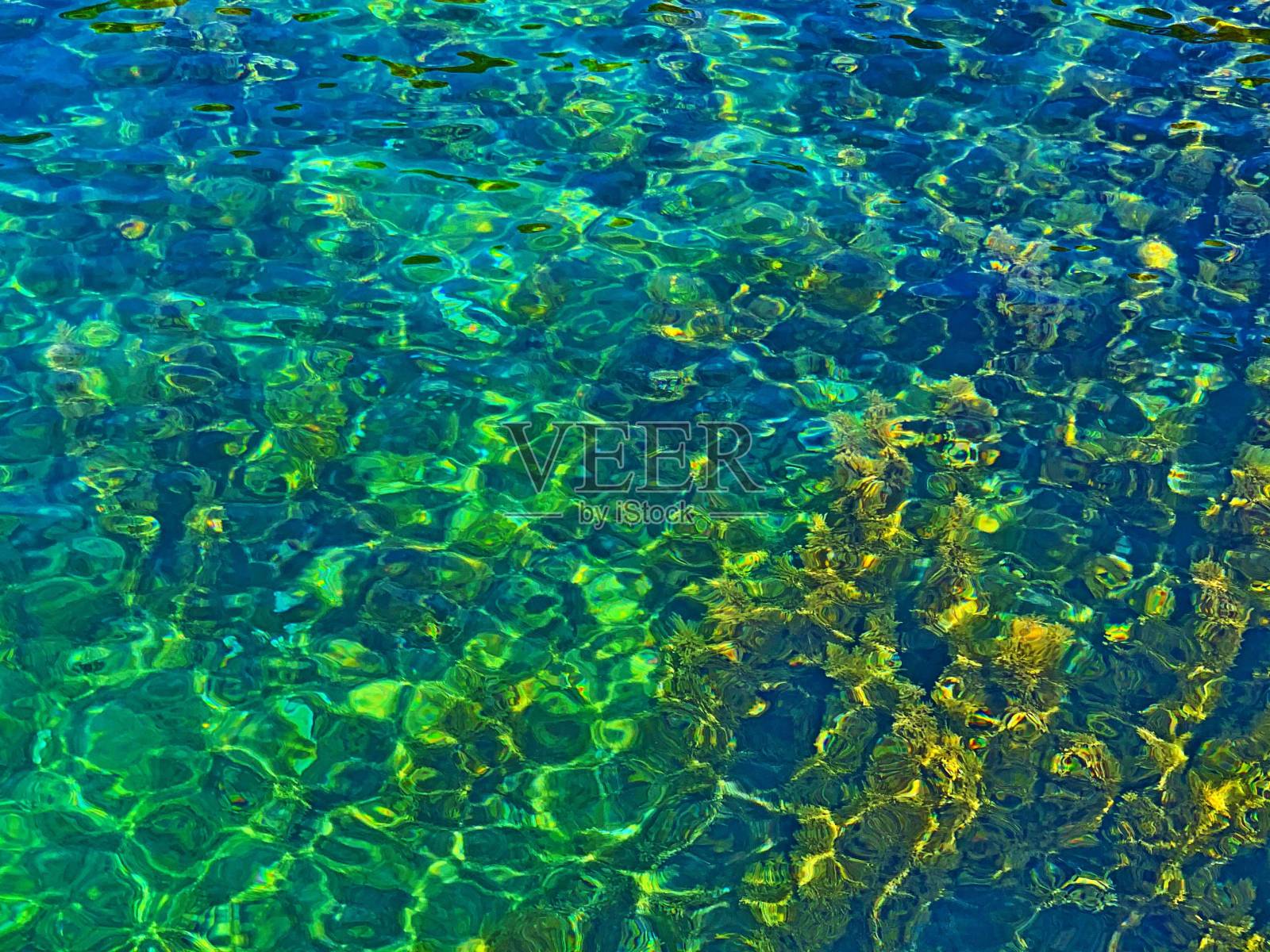 神奇的绿松石绿色水晶清澈的水下海水与海藻背景。神奇的海洋水彩。令人惊叹的神秘水下世界。照片摄影图片