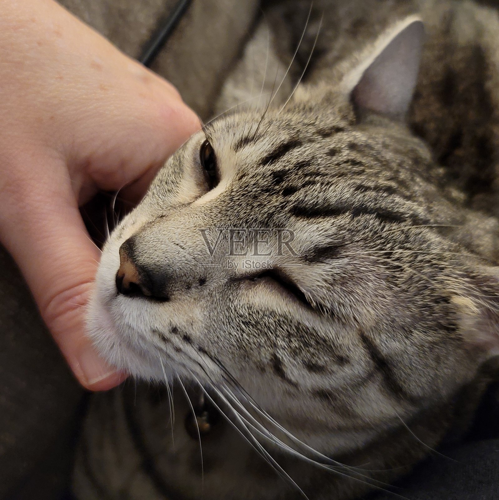 好抓点照片摄影图片