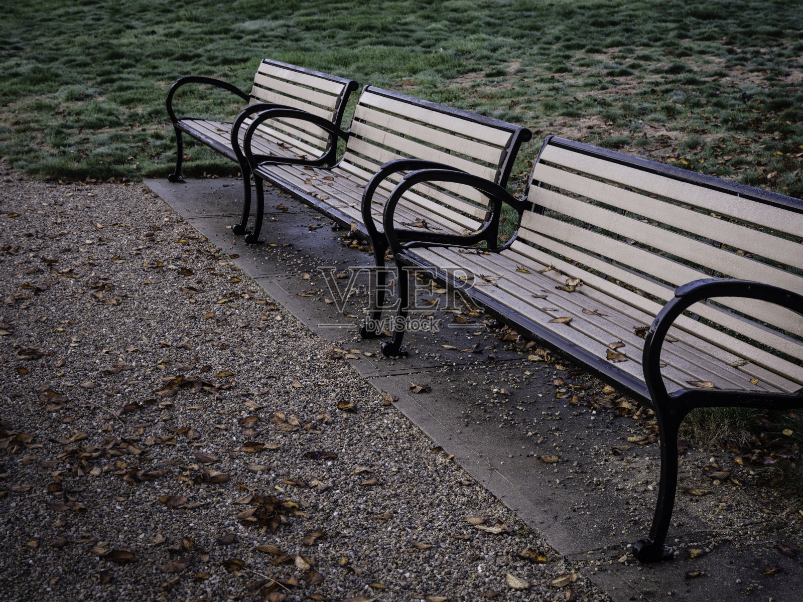 11月一个阳光明媚的早晨，空无一人的户外长椅和落叶照片摄影图片