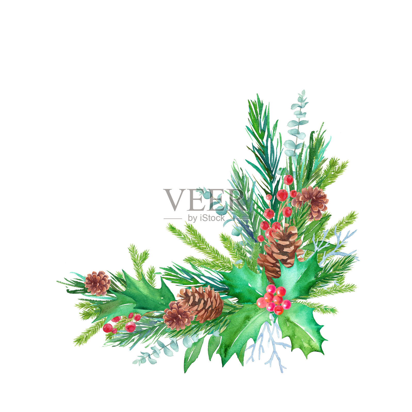 圣诞装饰的水彩插图，如松果，冷杉树枝和冬青。插画图片素材