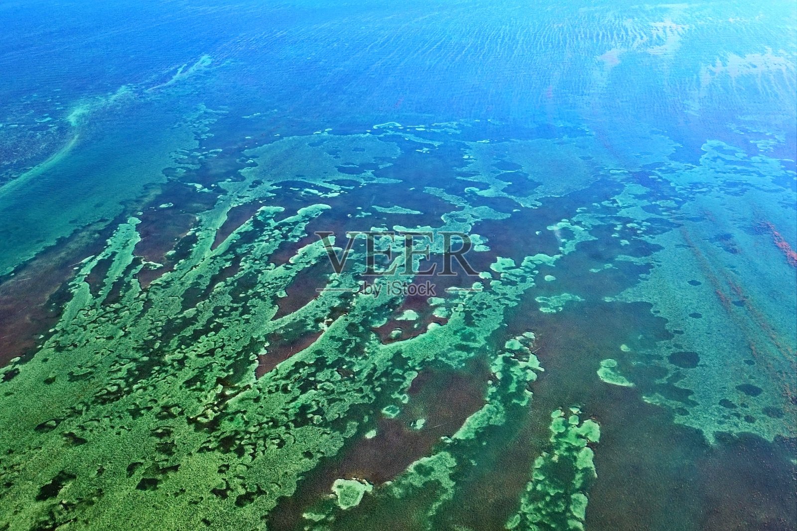 佛罗里达群岛周围的热带海床照片摄影图片