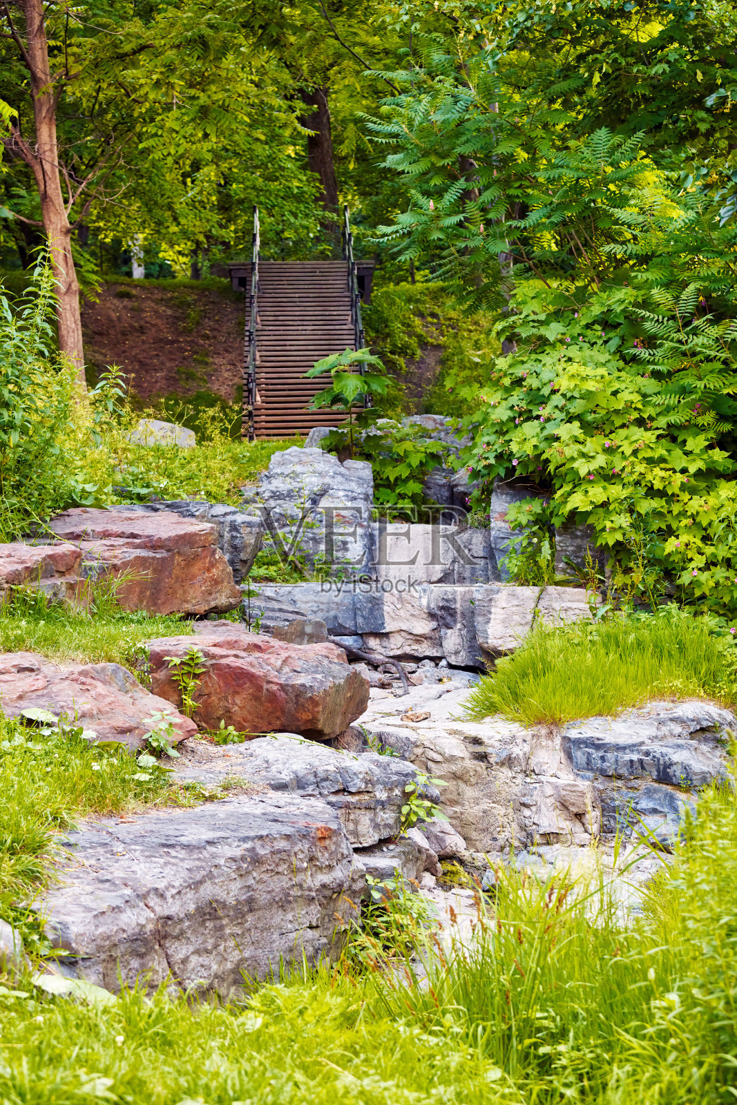 加拿大蒙特利尔皇家山公园。照片摄影图片