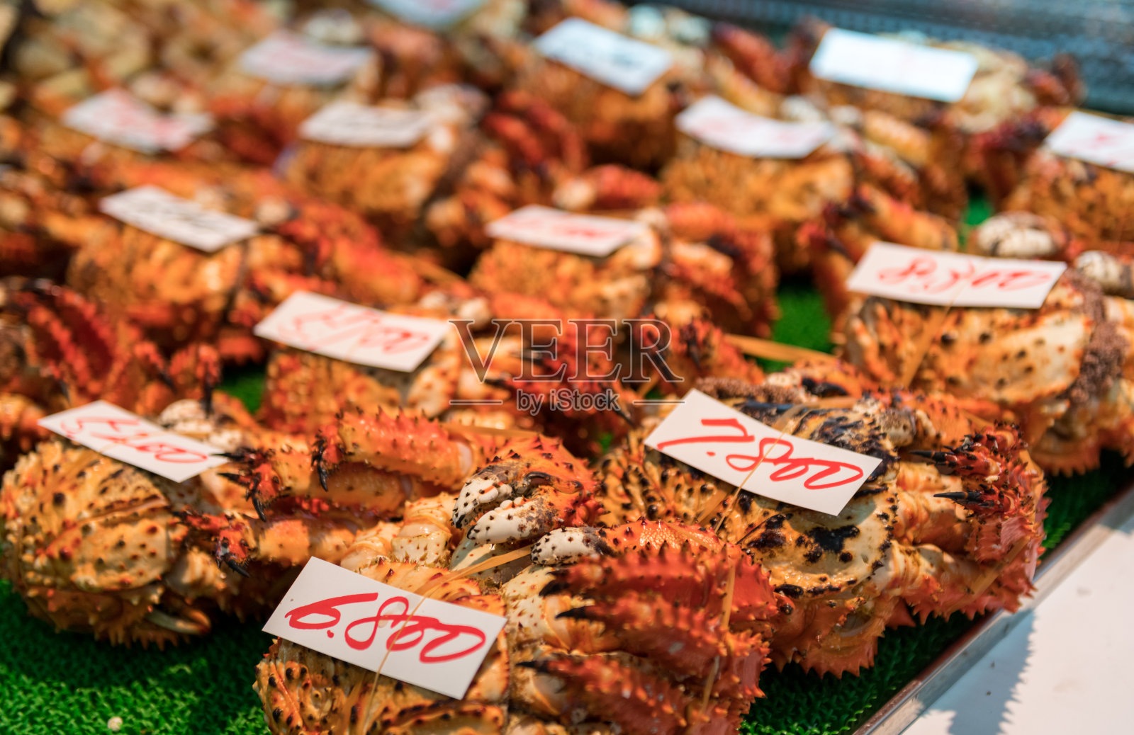 鱼市场的海鲜照片摄影图片