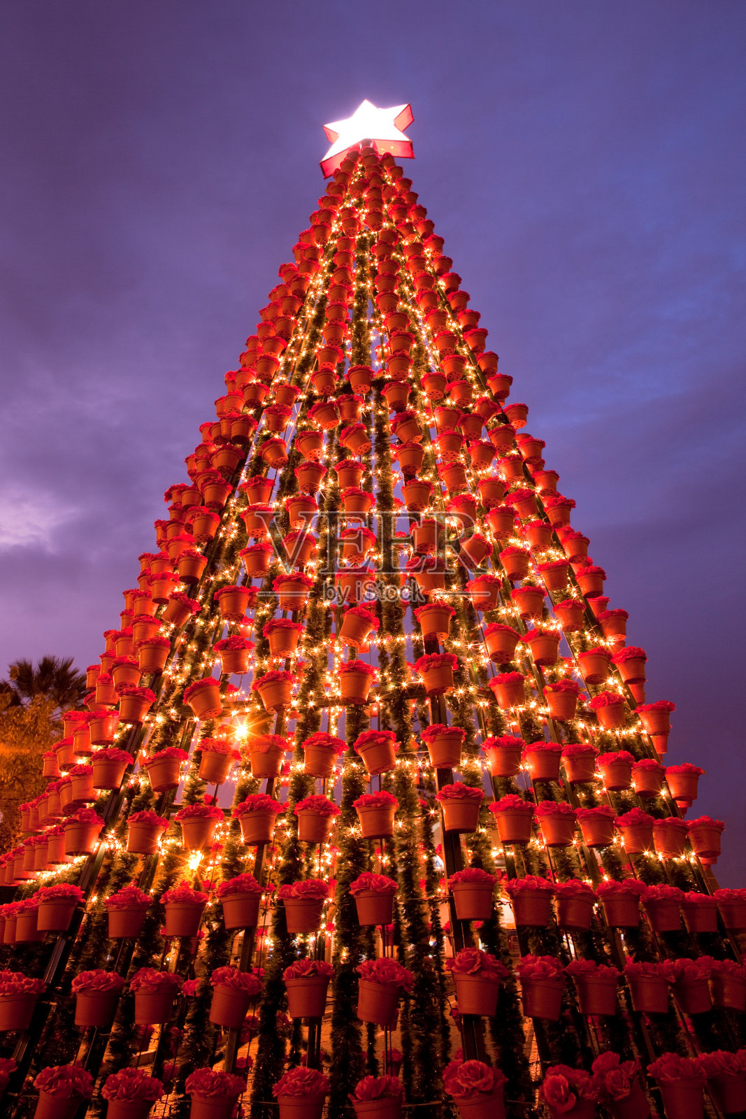 圣诞树照片摄影图片