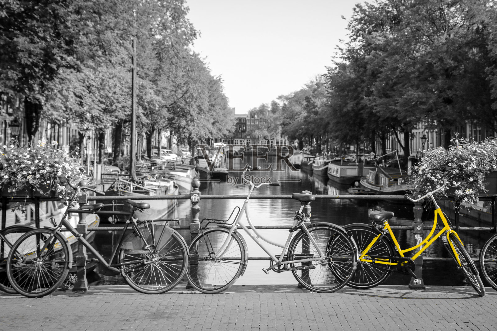 一辆崭新的黄色自行车在阿姆斯特丹的街道上。照片摄影图片