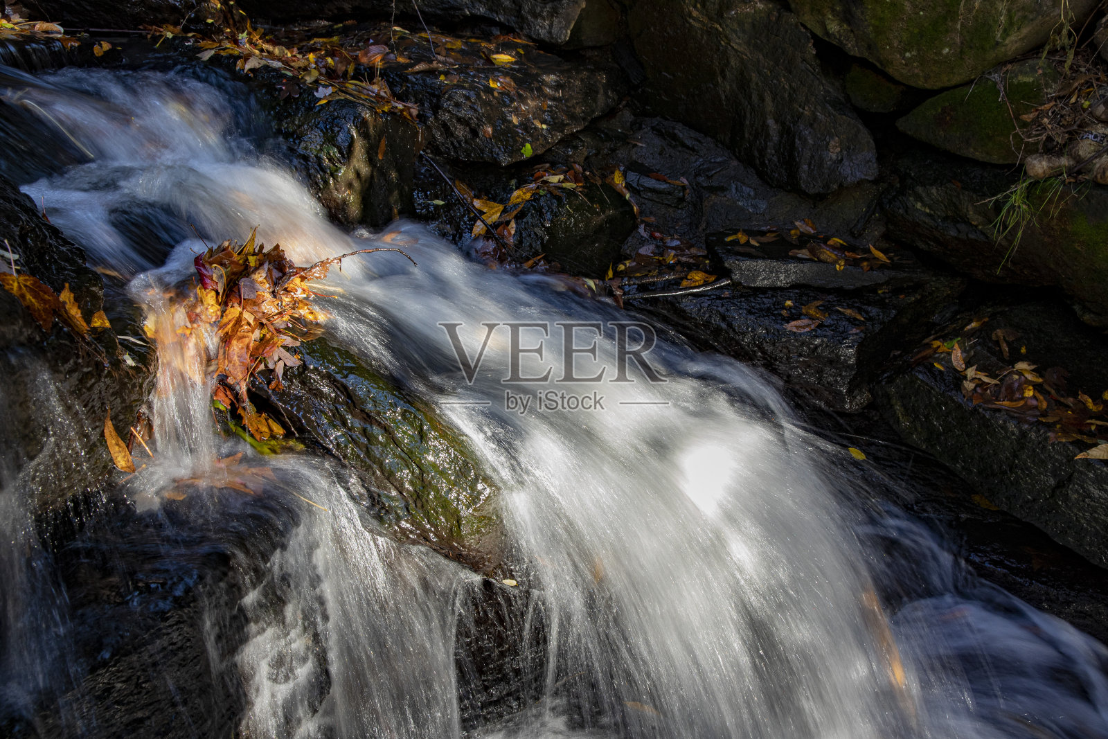 纽约中央公园的湖边瀑布照片摄影图片