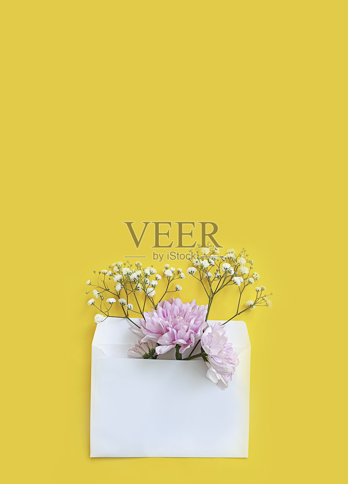 信封，花在一个彩色的背景照片摄影图片