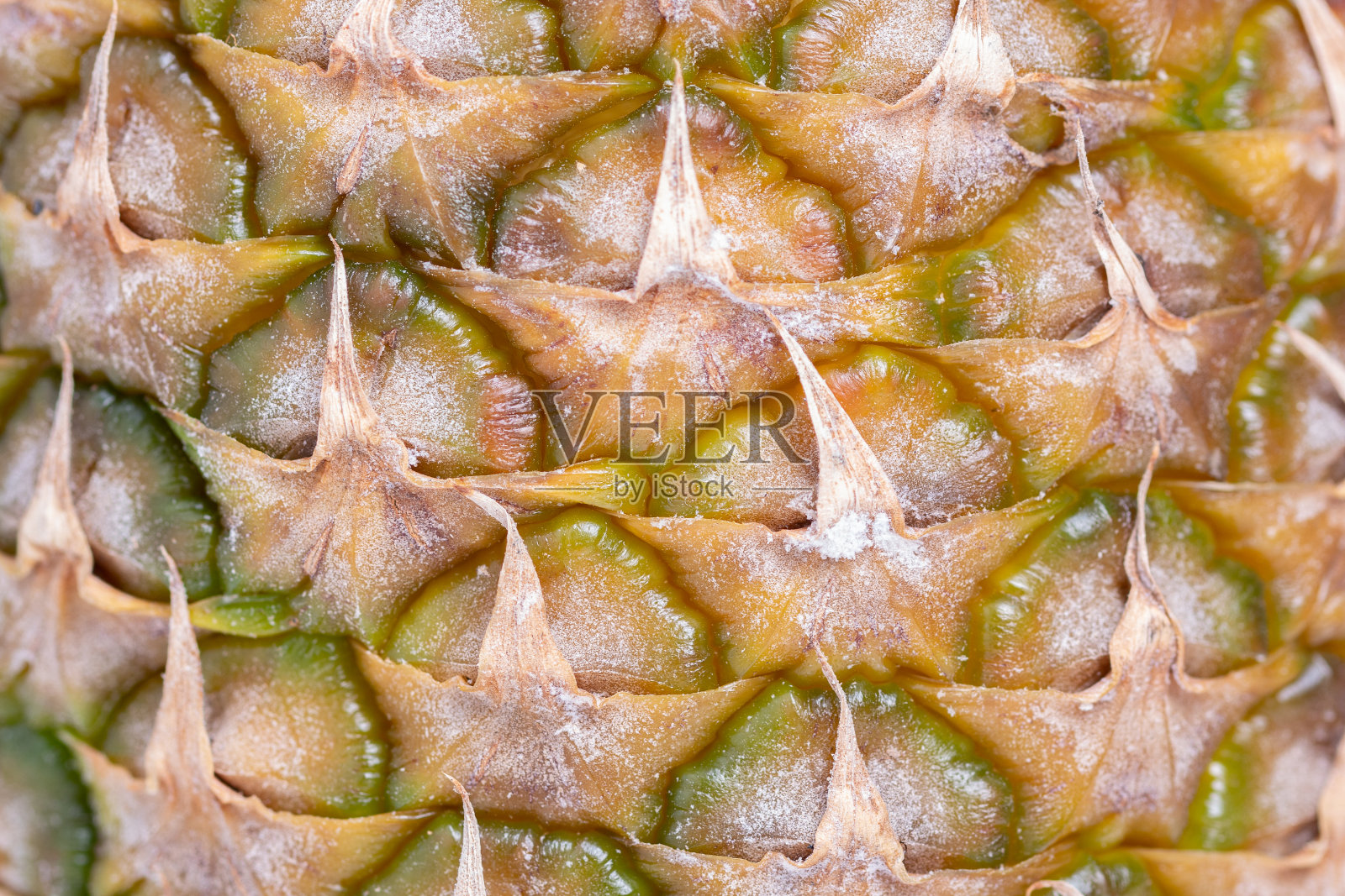 新鲜菠萝的特写，微距照片摄影图片