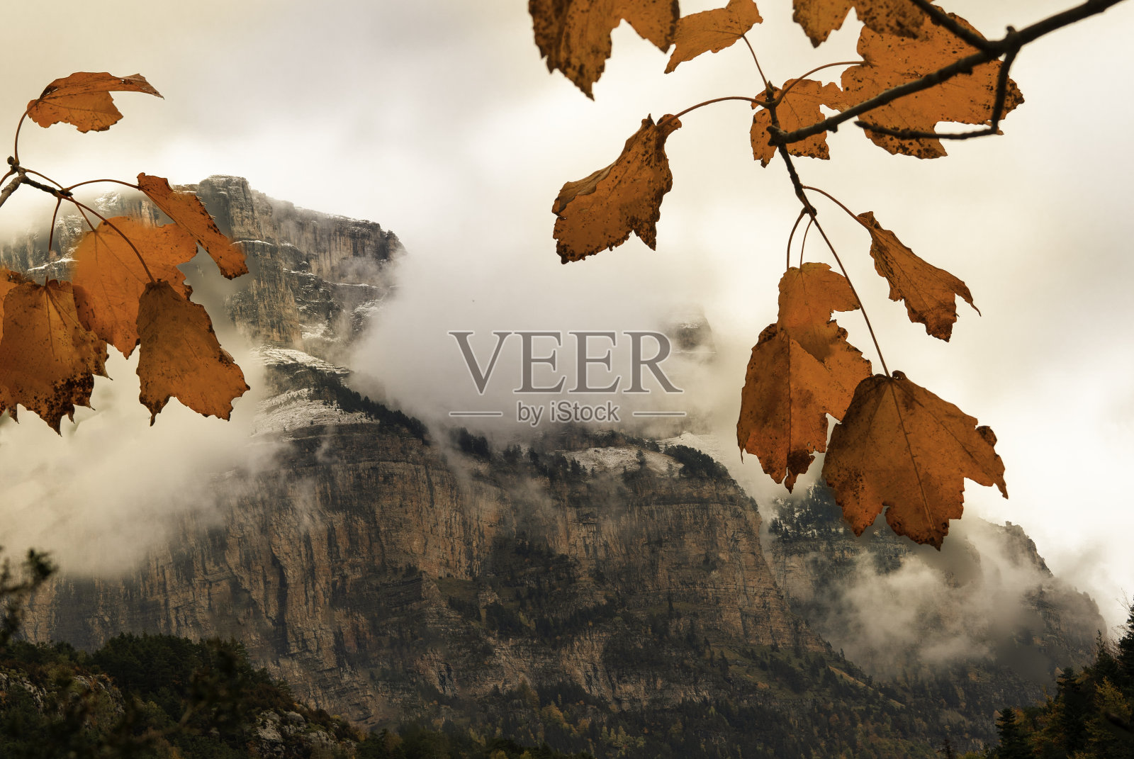 红色的落叶在奥尔德萨国家公园云山的背景下照片摄影图片