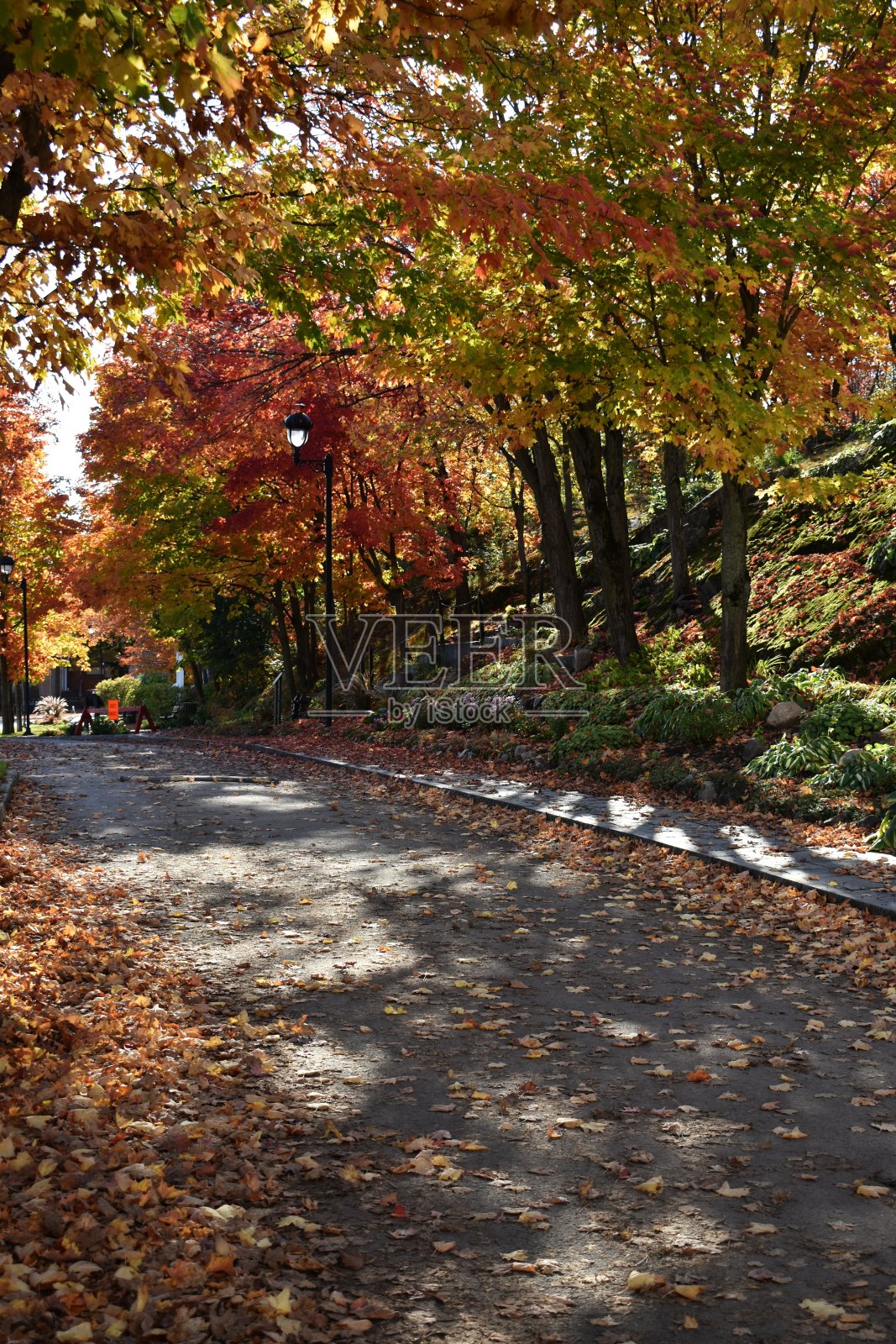 秋天照片摄影图片