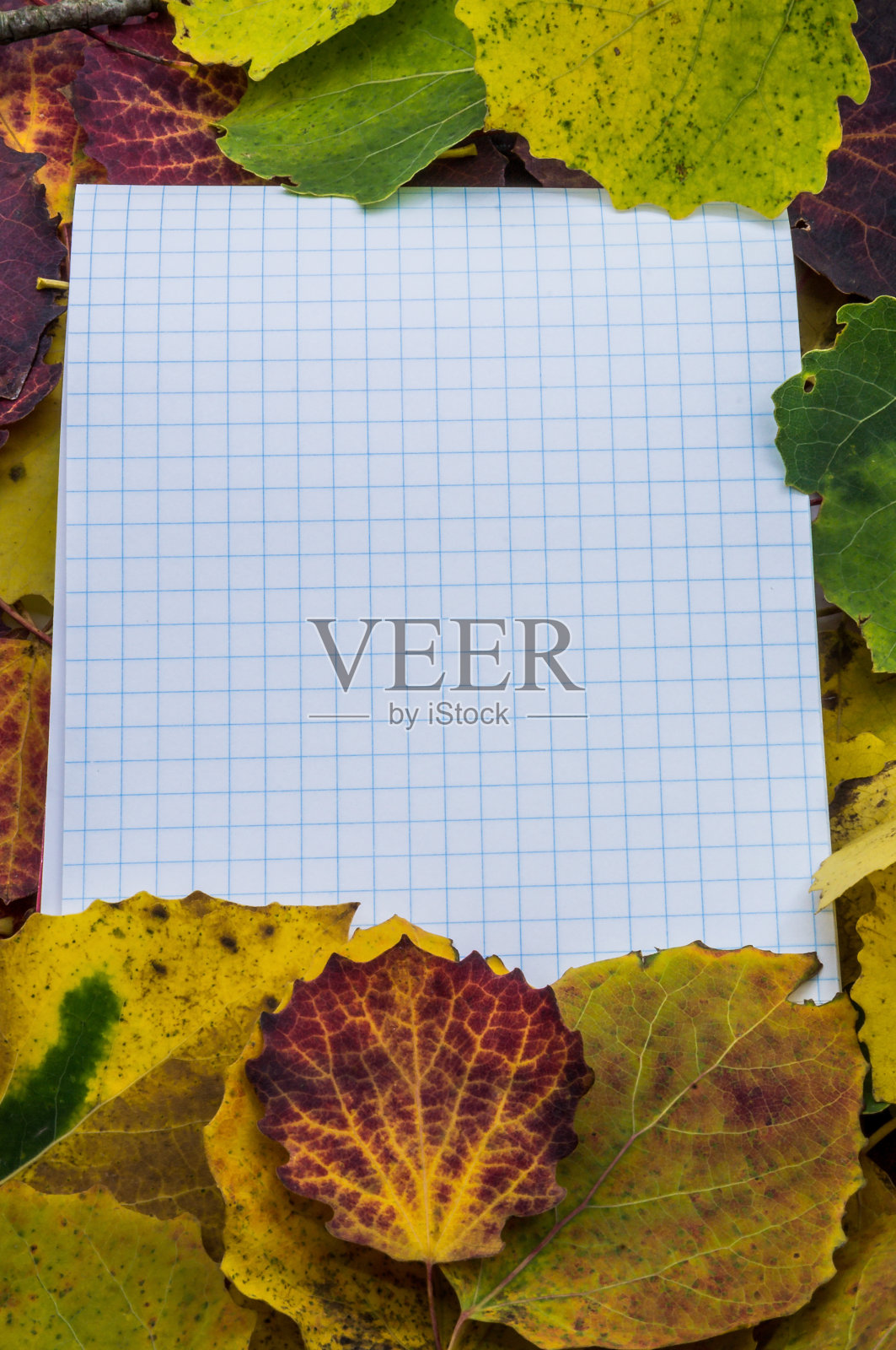 记事本，用于书写在秋天的叶子，红色的叶子和空白页照片摄影图片