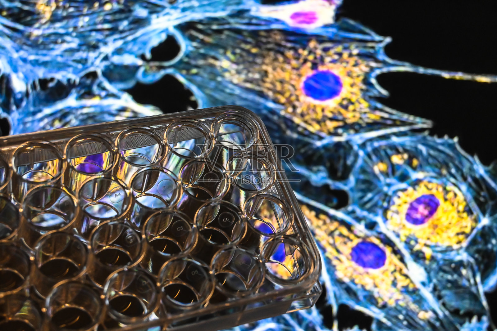 现代生物科学的成就。照片摄影图片