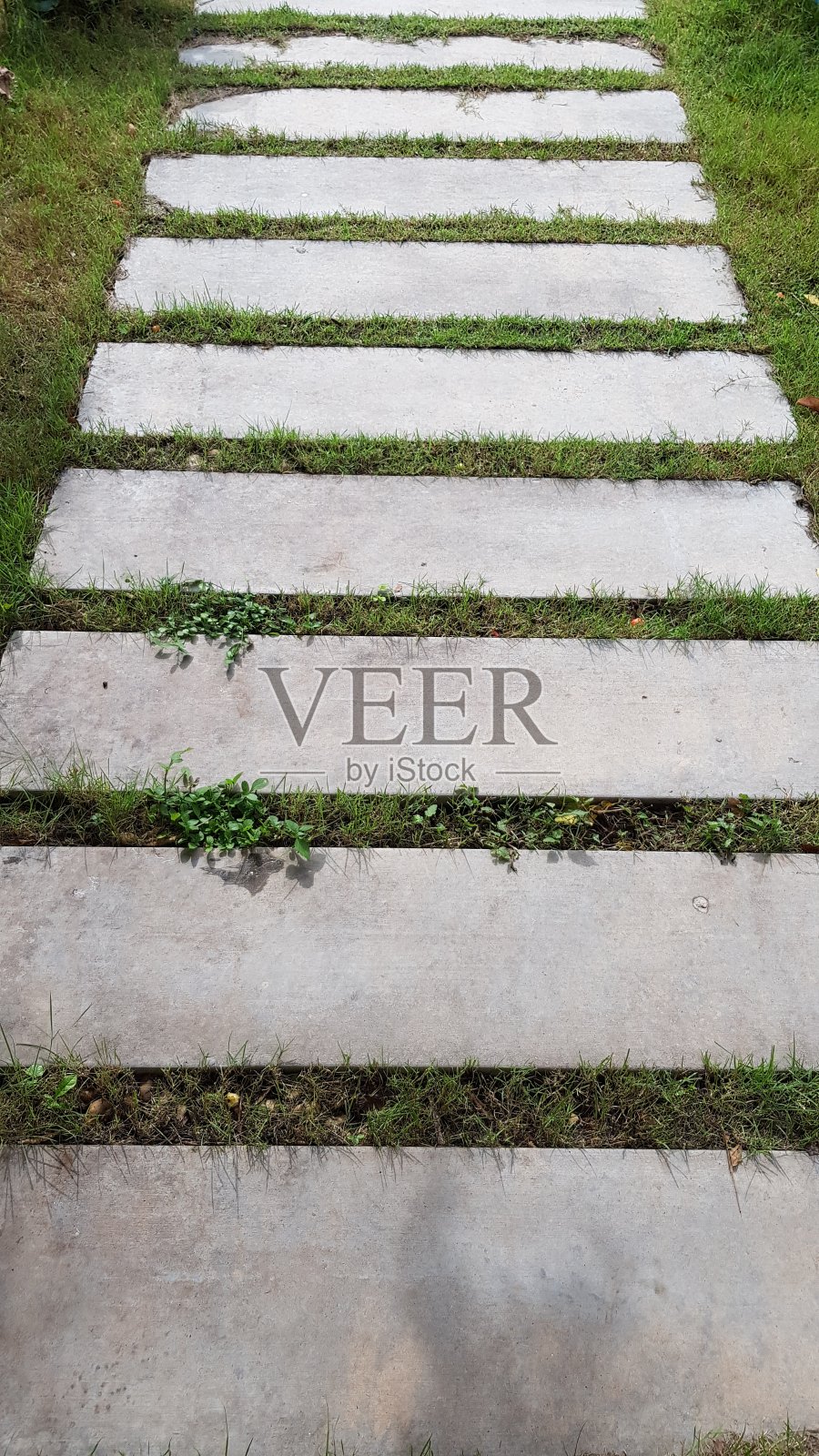 水泥板被放置在长满草的人行道上。照片摄影图片