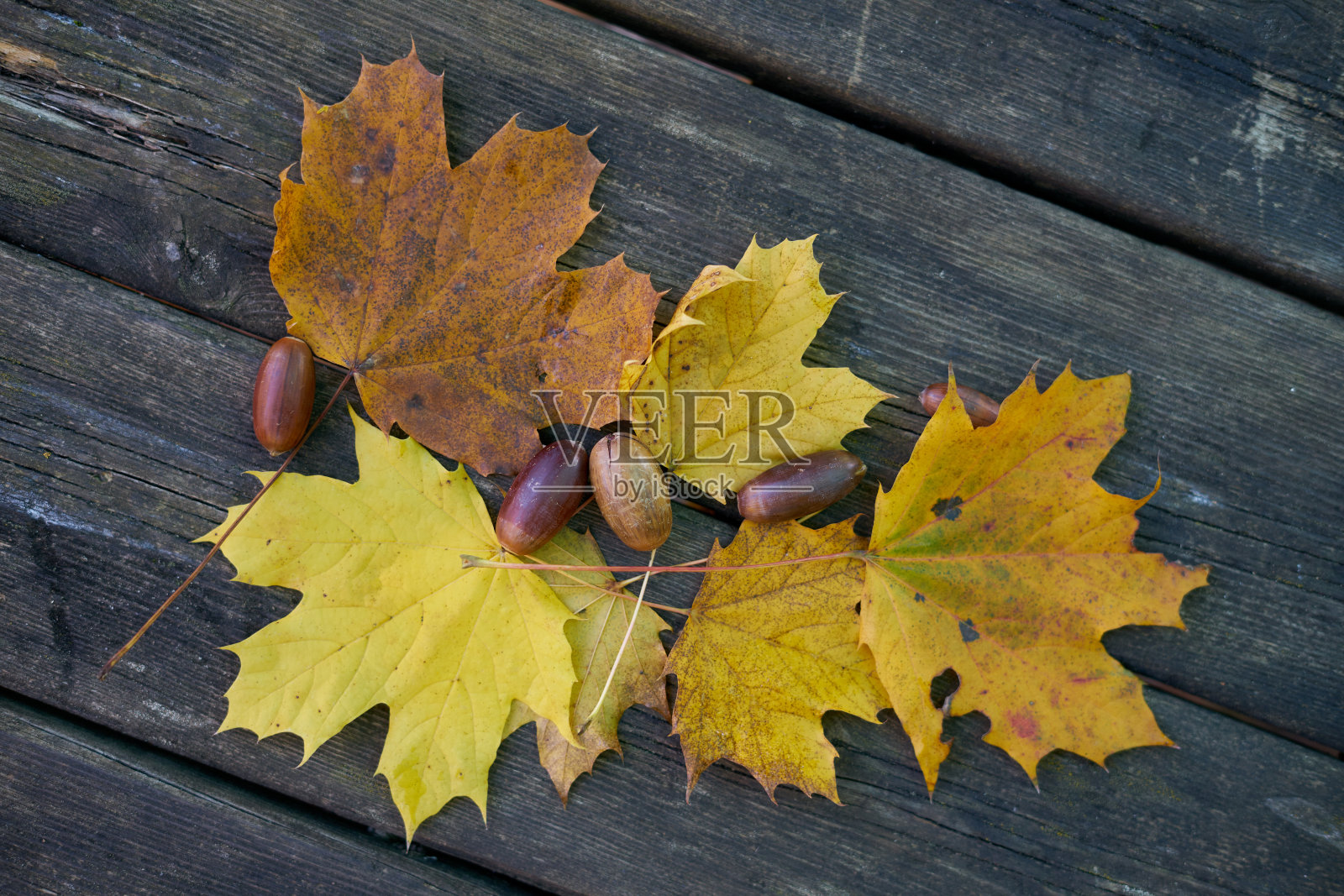 秋天的叶子放在深色的木桌上照片摄影图片