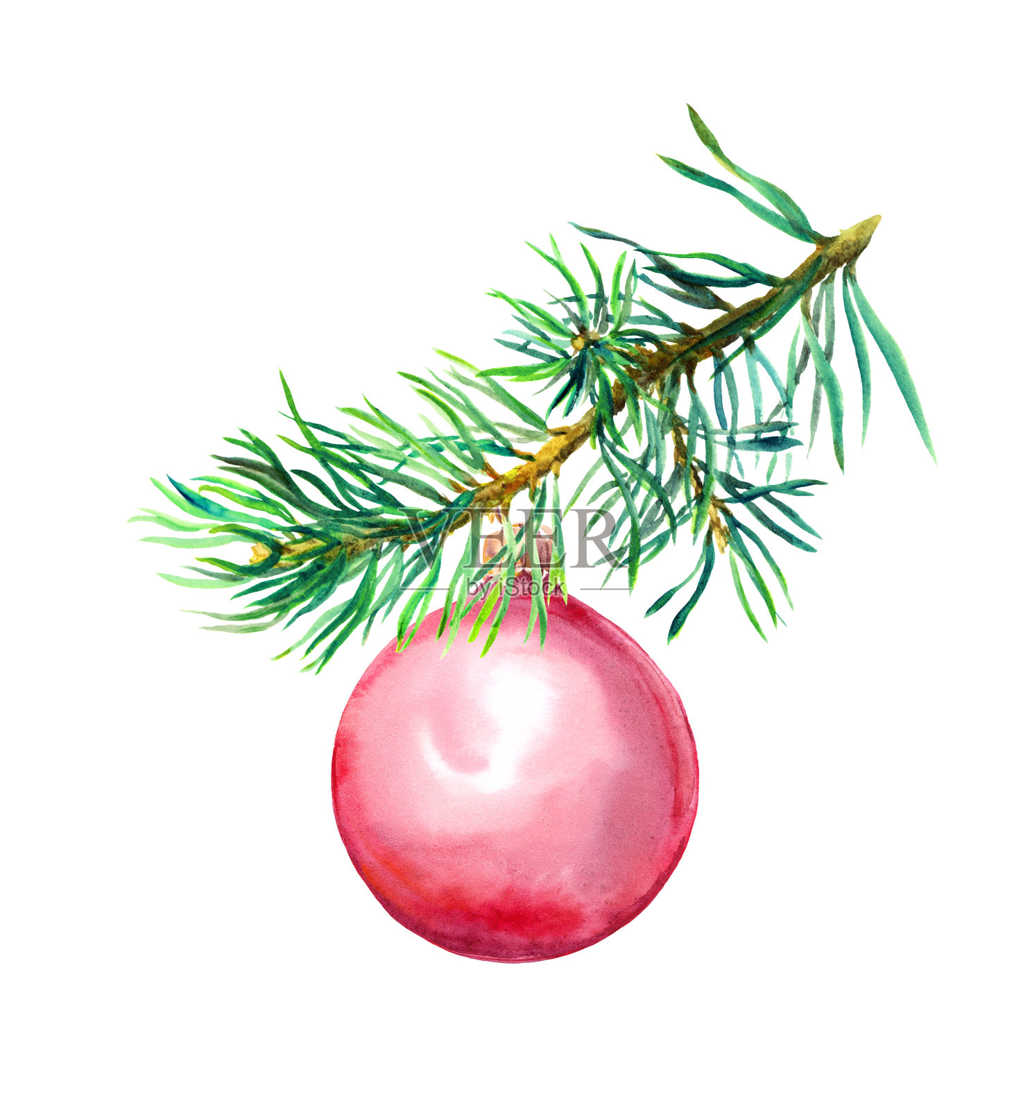 松树枝和黑色圣诞彩球。水彩插画图片素材