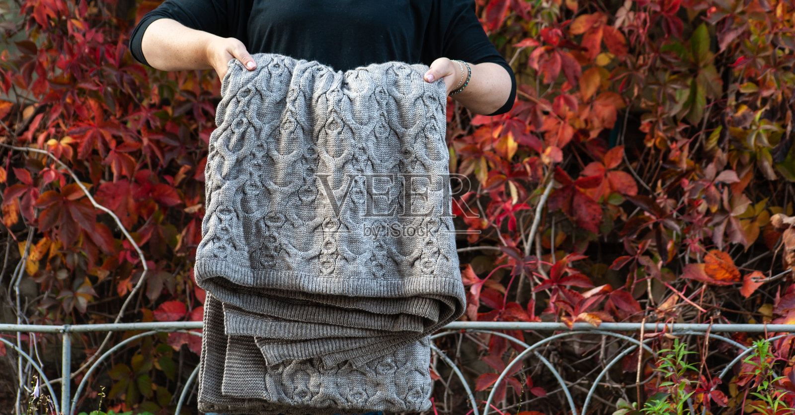 女人的手拿着一条灰色的毯子，那是挂在金属栅栏上的红叶背景照片摄影图片