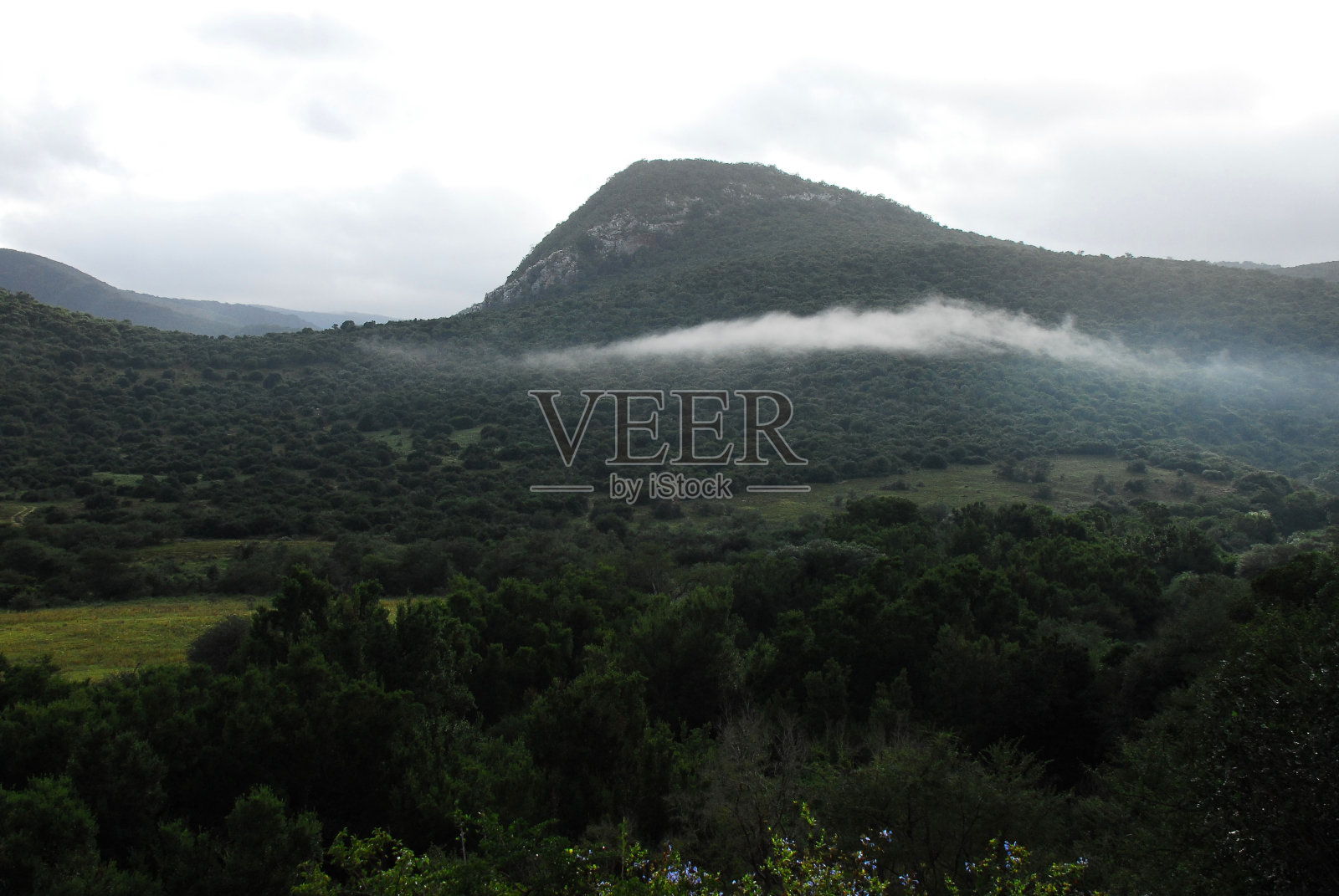 非洲-丛林覆盖的迷雾山全景照片摄影图片