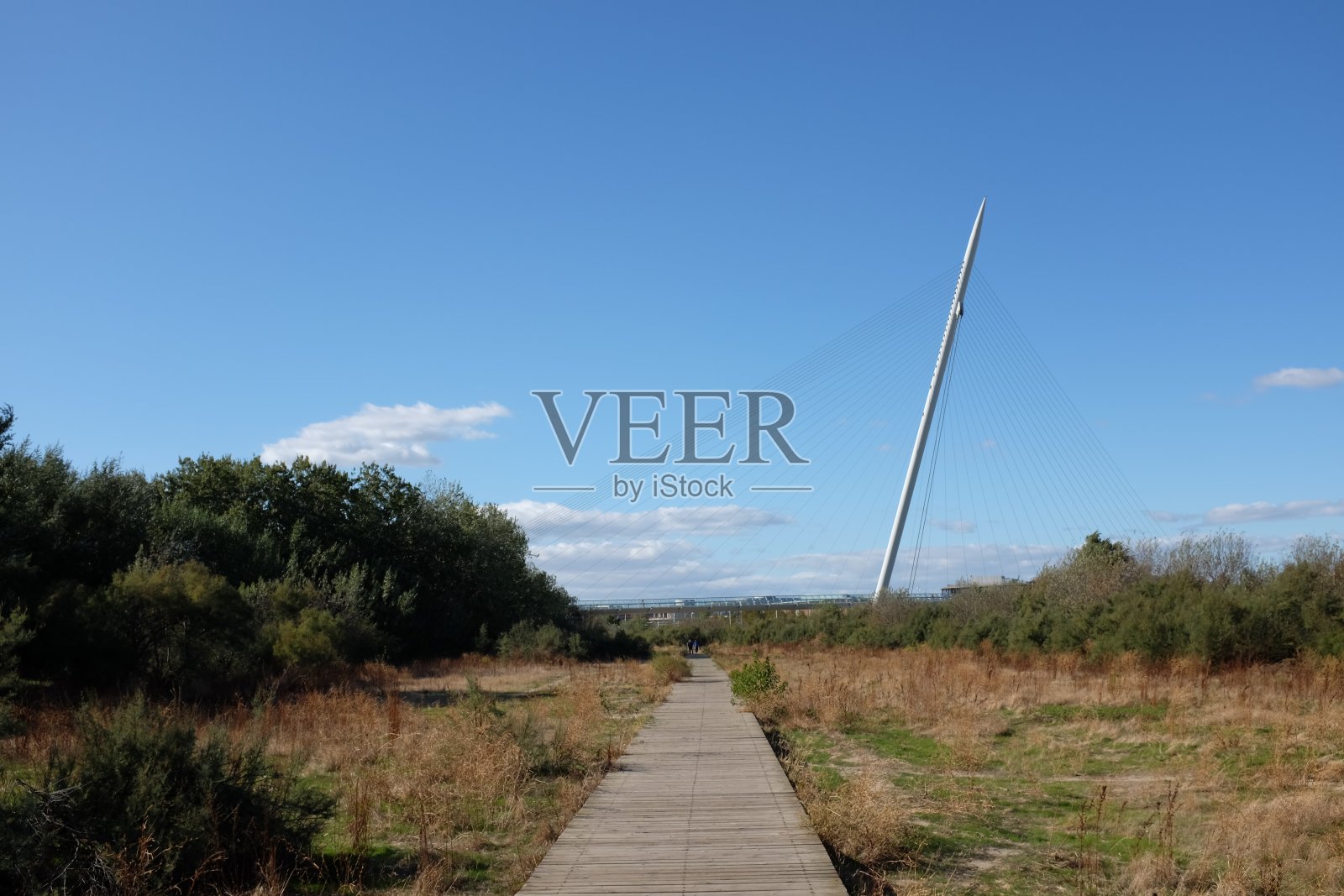 萨拉戈萨埃布罗河上的人行桥照片摄影图片