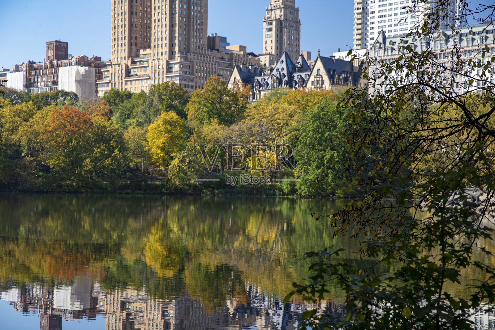 树木和建筑物倒映在中央公园的湖面上照片摄影图片