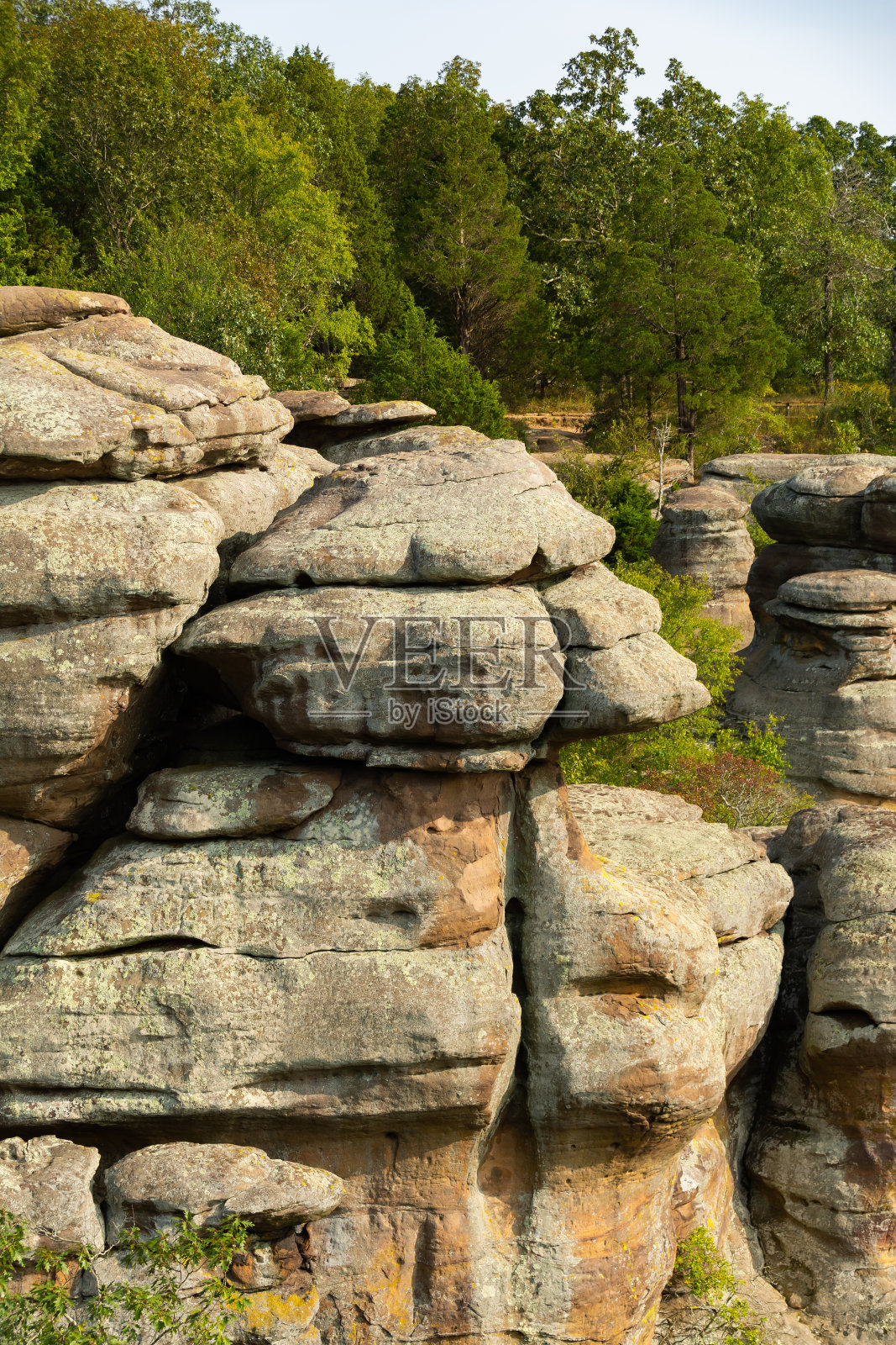 众神花园照片摄影图片