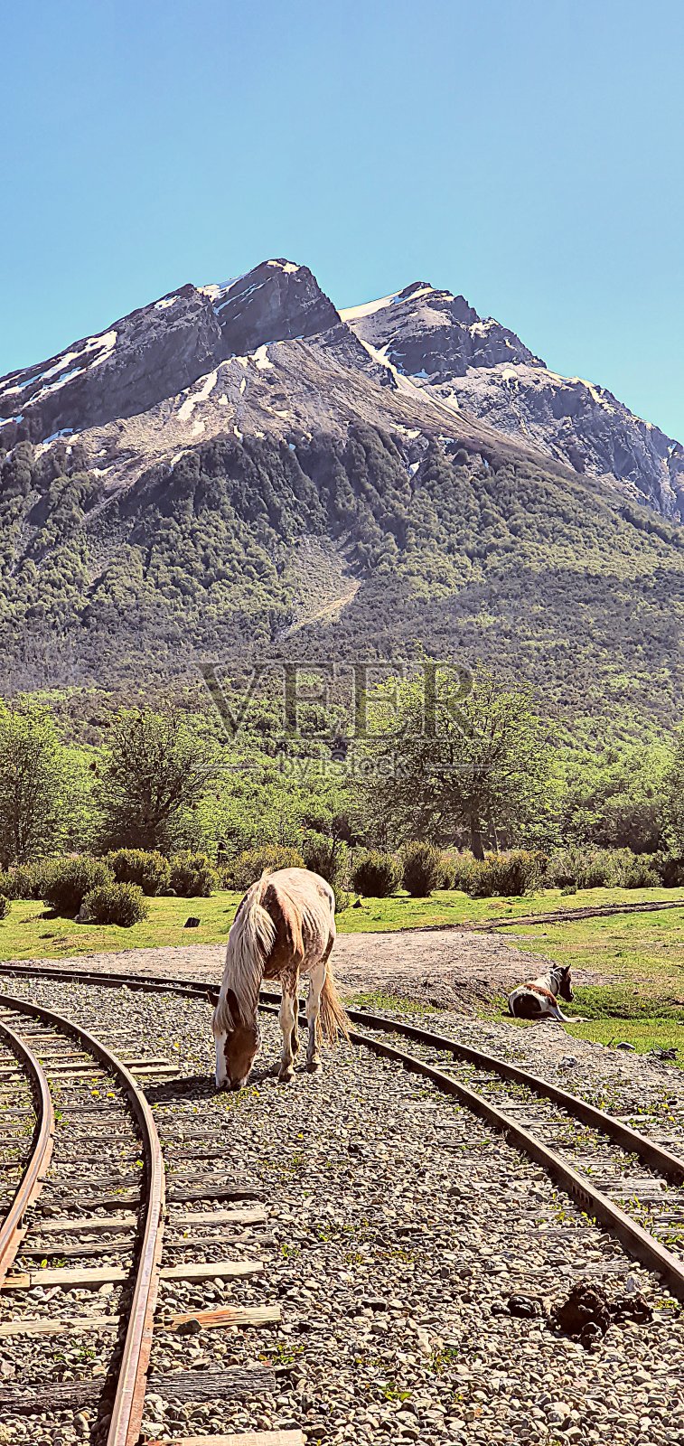 旧铁轨照片摄影图片