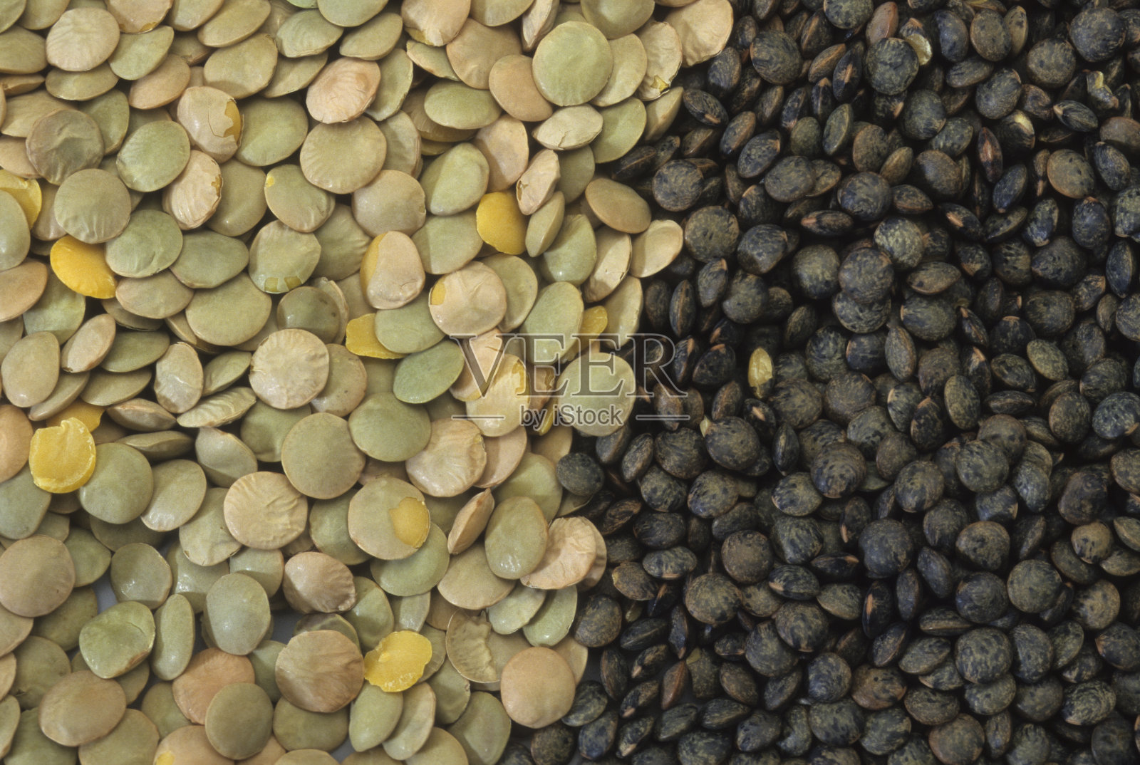 小扁豆照片摄影图片