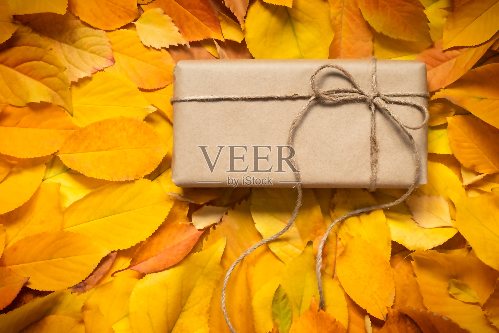 用牛皮纸包裹的礼物，以秋天为背景照片摄影图片