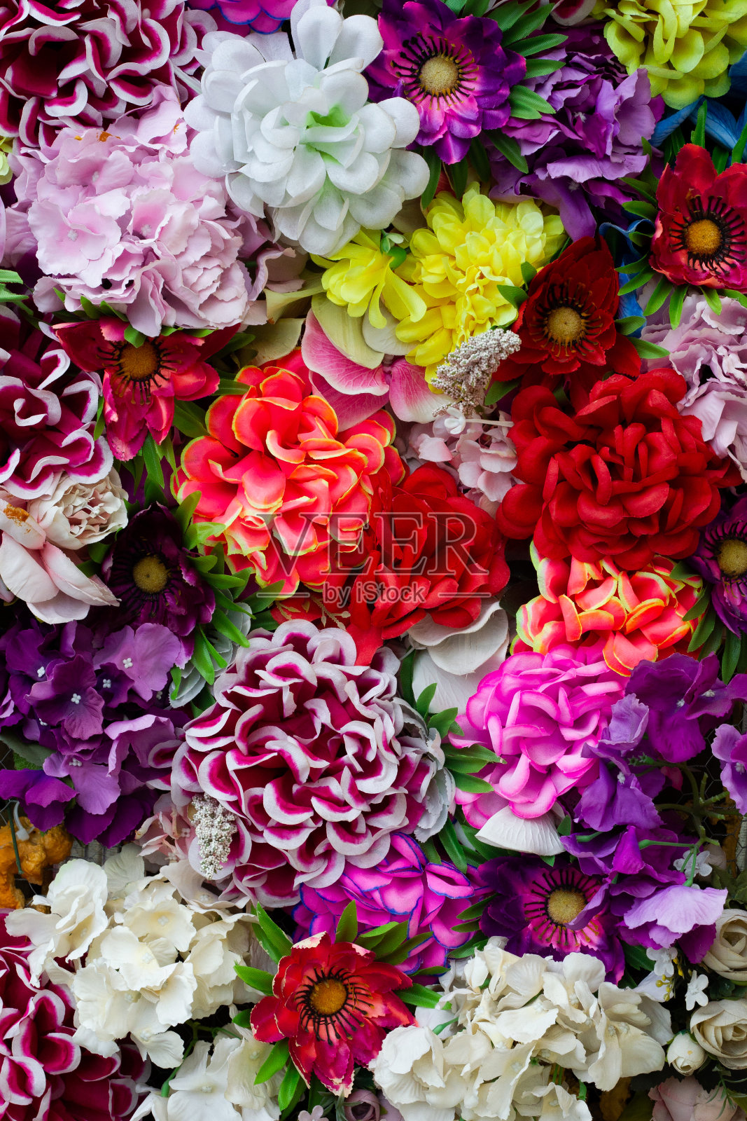 城市的花照片摄影图片