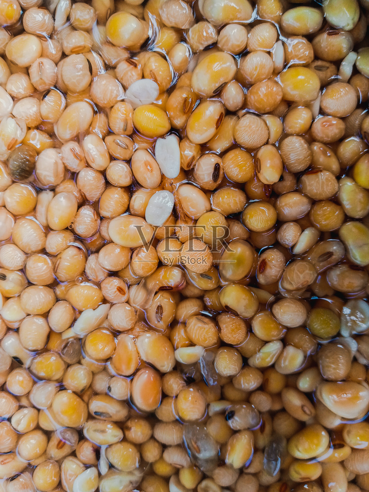 大豆照片摄影图片